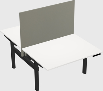 Shared electric desk