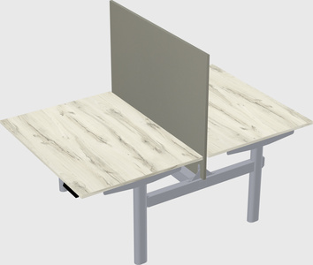 Shared electric desk