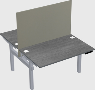 Shared electric desk