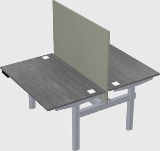 Shared electric desk