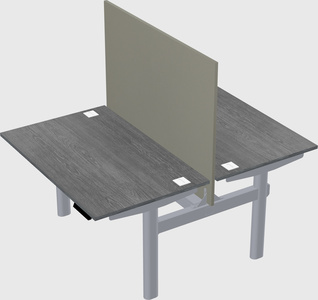 Shared electric desk
