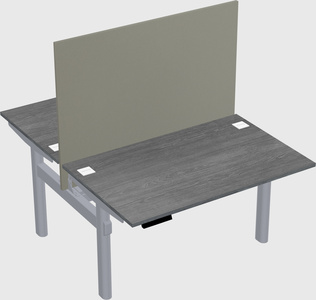 Shared electric desk