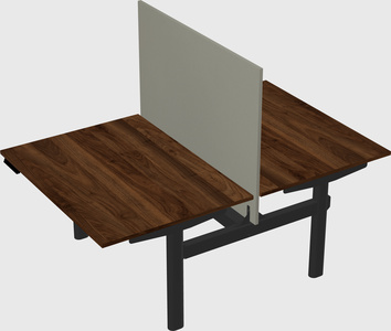 Shared electric desk