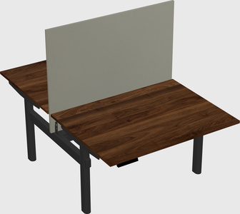 Shared electric desk