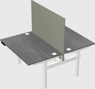 Shared electric desk