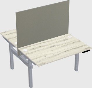 Shared electric desk