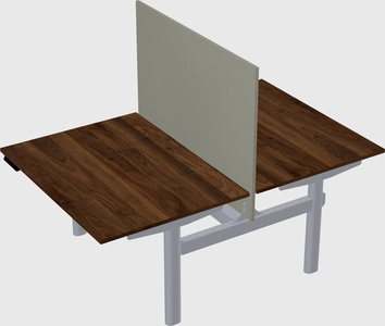 Shared electric desk