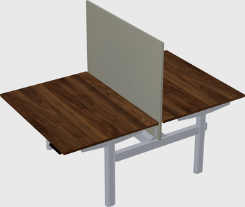 Shared electric desk