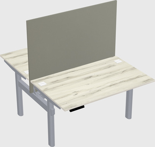 Shared electric desk