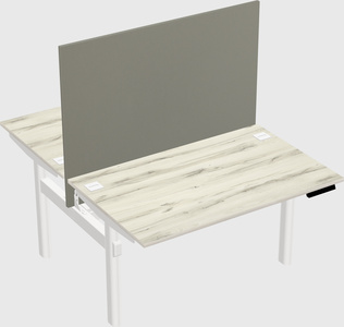 Shared electric desk