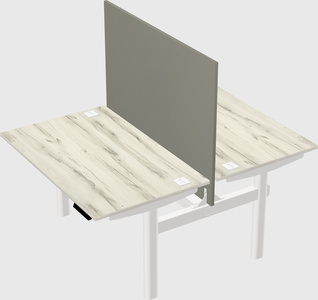 Shared electric desk