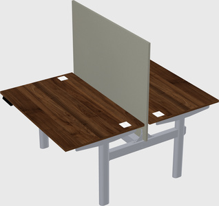 Shared electric desk