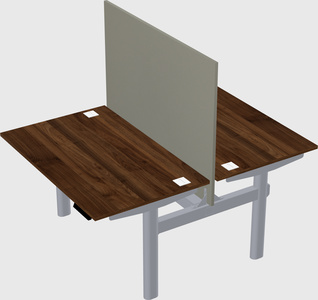 Shared electric desk
