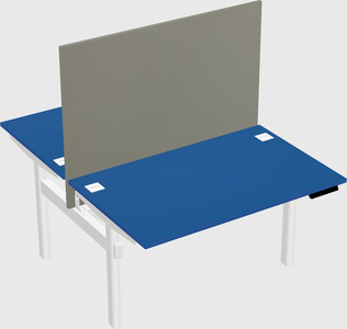 Shared electric desk