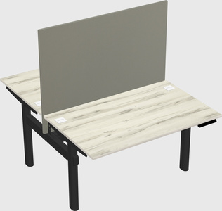 Shared electric desk