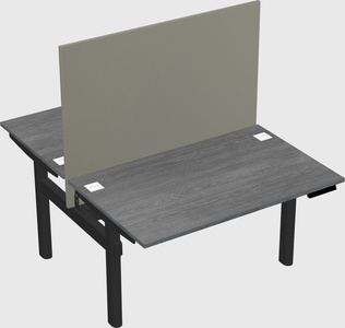 Shared electric desk