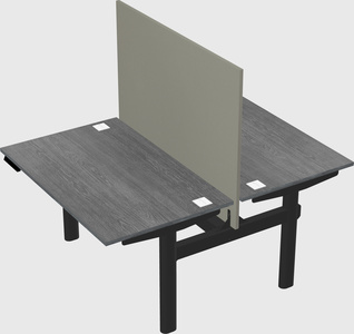 Shared electric desk
