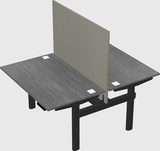 Shared electric desk
