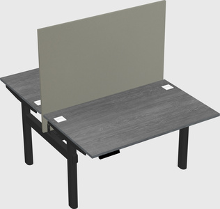Shared electric desk