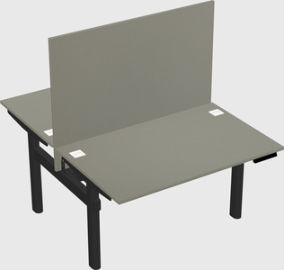 Shared electric desk
