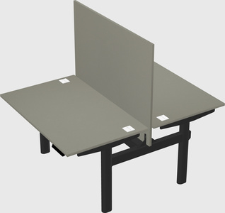 Shared electric desk