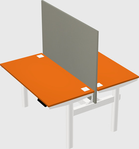 Shared electric desk