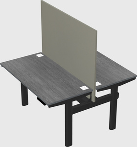 Shared electric desk