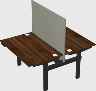 Shared electric desk