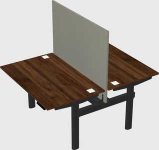Shared electric desk