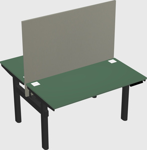 Shared electric desk