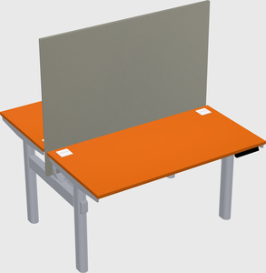 Shared electric desk