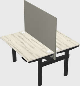 Shared electric desk