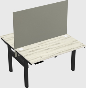 Shared electric desk