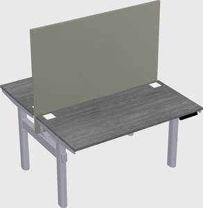 Shared electric desk