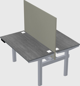 Shared electric desk