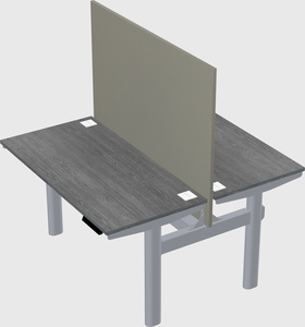 Shared electric desk