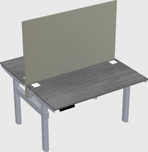 Shared electric desk