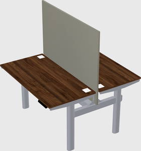 Shared electric desk