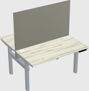 Shared electric desk