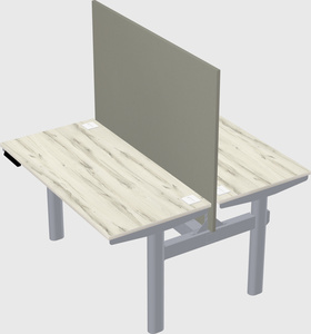 Shared electric desk
