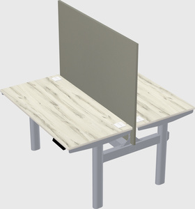 Shared electric desk