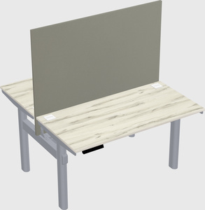 Shared electric desk