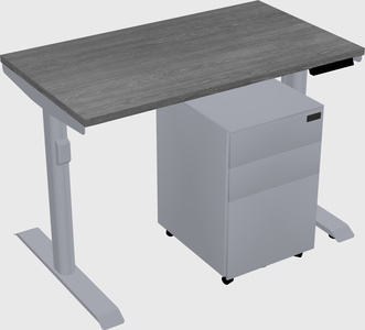Dual motor electric desk