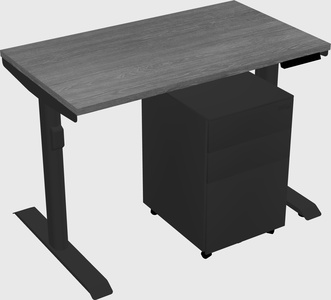 Dual motor electric desk