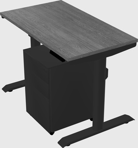 Dual motor electric desk