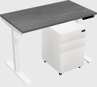Dual motor electric desk