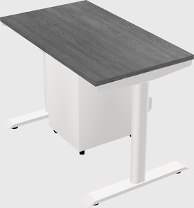 Dual motor electric desk