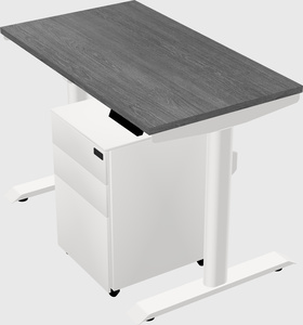 Dual motor electric desk