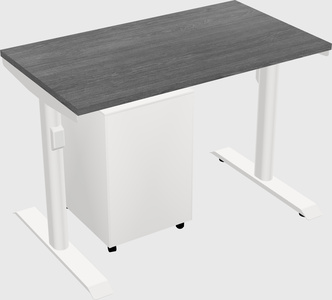Dual motor electric desk
