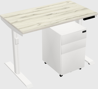 Dual Motor Electric Desk